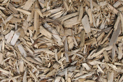 biomass boilers Edradynate