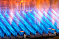 Edradynate gas fired boilers